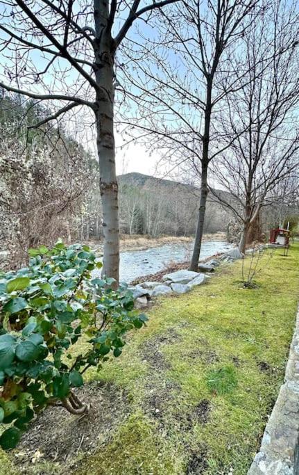 Acogedor Alojamiento En Martinet, Cerdanya, Puigcerda 外观 照片